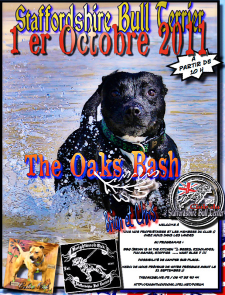 Réunion Staffie - Octobre 2011 - Bulldogge Bash