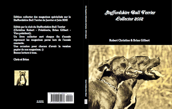 Etalon chiot élevage Staffordhire Bull Terrier staffie Knightwood Oak Celtic Oak Chiens de france  