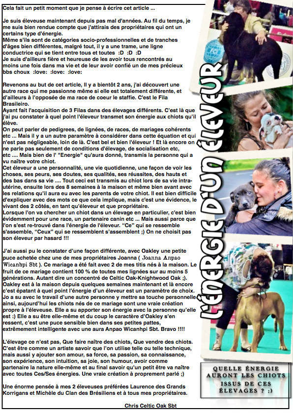 Etalon chiot élevage Staffordhire Bull Terrier staffie Knightwood Oak Celtic Oak Chiens de france club Staffordshire Bull Terrier de France FABAS http://www.stamtavler.com/dogarchive/ dessin energetiq
