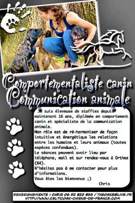 Pension Canine Familiale Toutes races - Comportementaliste Canin - École du chiot - Contactez-nous au 06 52 822 833 / theoaks@live.fr