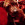 Etalon chiot élevage Staffordhire Bull Terrier staffie Knightwood Oak Celtic Oak Chiens de france club Staffordshire Bull Terrier de France FABAS http://www.stamtavler.com/dogarchive/