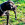 Etalon chiot élevage Staffordhire Bull Terrier staffie Knightwood Oak Celtic Oak Chiens de france club Staffordshire Bull Terrier de France FABAS http://www.stamtavler.com/dogarchive/ dessin energetiq